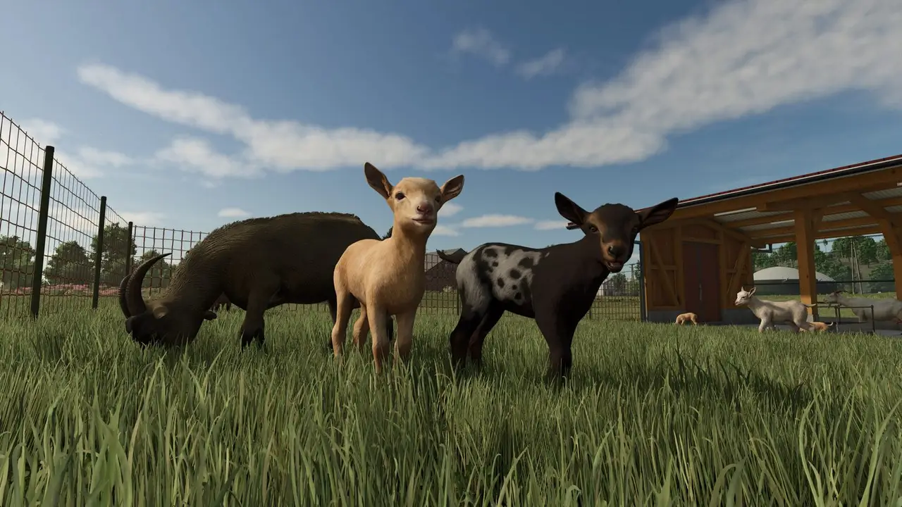 Imagen oficial 3 de Farming Simulator 25